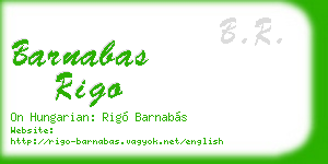 barnabas rigo business card