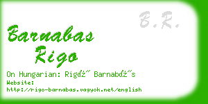 barnabas rigo business card